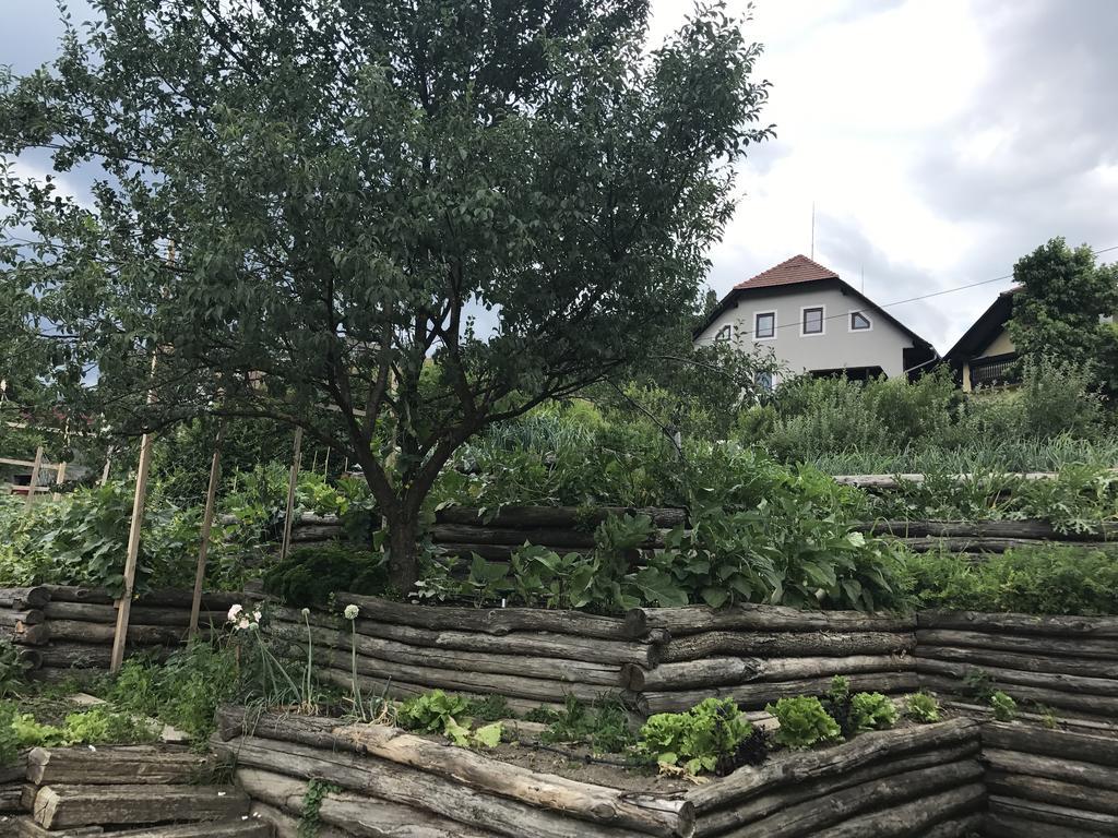 Glamping Laško Eksteriør billede